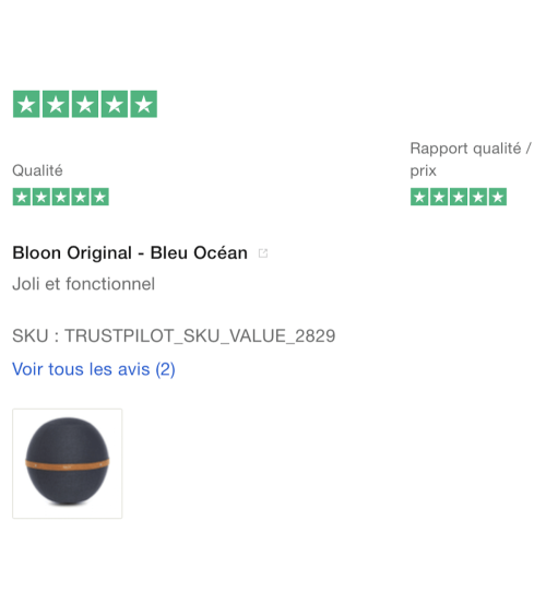 Bloon Original Bleu Océan - Siège ballon Bloon Paris ergonomique swiss ball bureau d'assise
