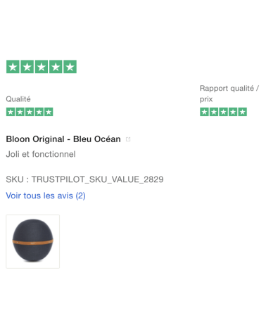 Bloon Original Ozean blau - Sitzball Bloon Paris Büro vluv Sitzbälle gut für rücken kaufen