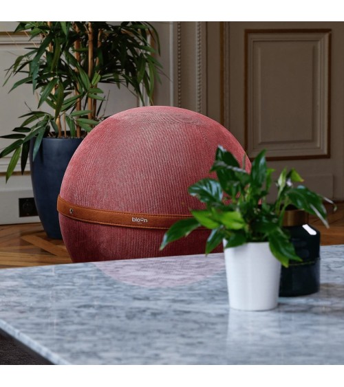 Bloon Bobochic Koralle - Sitzball Bloon Paris Büro vluv Sitzbälle gut für rücken kaufen