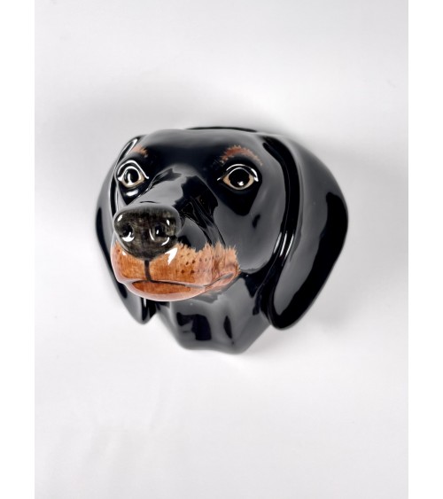 Vaso da parete - Bassotto Quail Ceramics Vasi design svizzera originale