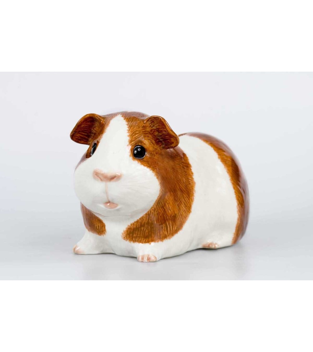 Piggy Bank - Guinea Pig Quail Ceramics money box ceramic