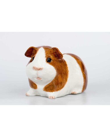 Piggy Bank - Guinea Pig Quail Ceramics money box ceramic