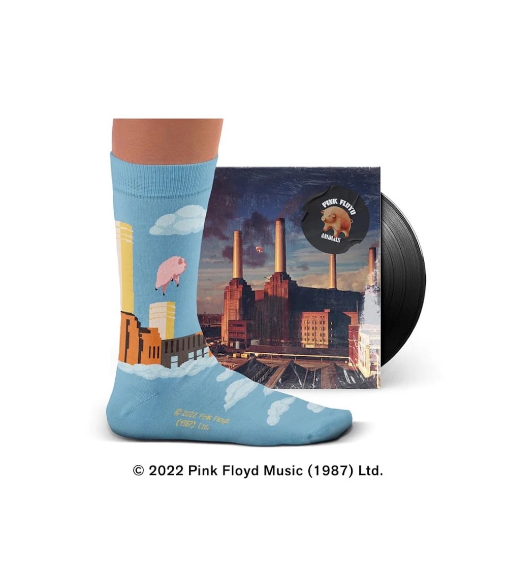 Animals - Pink Floyd - Chaussettes Sock Affairs jolies pour femme originales pour homme chausset rigolotes drole Suisse