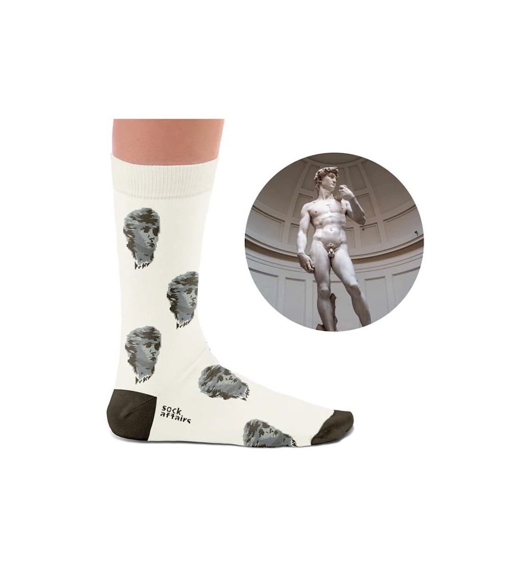 David de Michel-Ange - Chaussettes originales Curator Socks calendrier de l avent chaussettes jolies chausset pour homme femm...