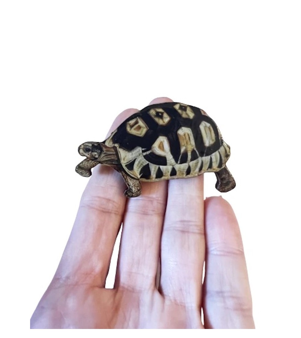 Tortue - Broche en bois Fen & Co pins rare métal originaux bijoux suisse