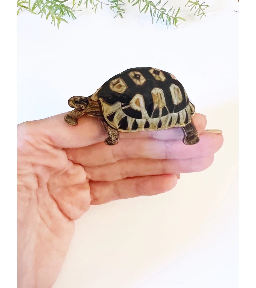 Schildkröte - Brosche aus Holz Fen & Co Anstecknadel Ansteckpins pins anstecknadeln kaufen