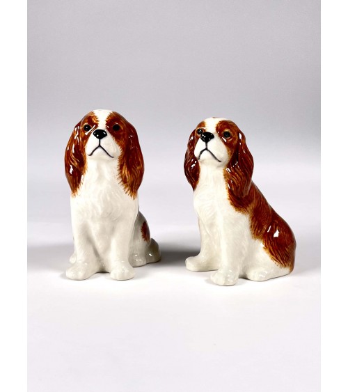 Salt & Pepper - Cavalier King Charles Quail Ceramics Salt and pepper shakers design switzerland original