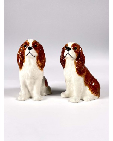Cavalier King Charles - Porta sale e pepe Quail Ceramics design da tavola saliera e pepiera