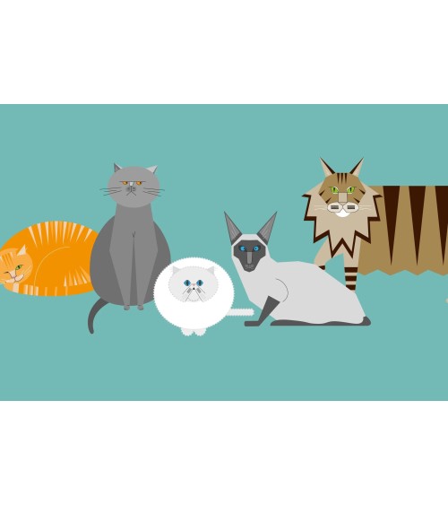 Personaggi di gatto - Quaderno A5 Ellie Good illustration Cartoleria Svizzera