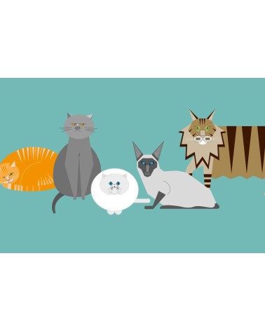 Personaggi di gatto - Quaderno A5 Ellie Good illustration Cartoleria Svizzera