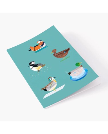 Dabbling Ducks - A5 Notebook Ellie Good illustration cute stationery