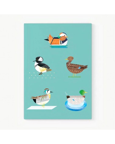 Canards barboteurs - Cahier, carnet de notes A5 Ellie Good illustration papeterie originale en ligne suisse