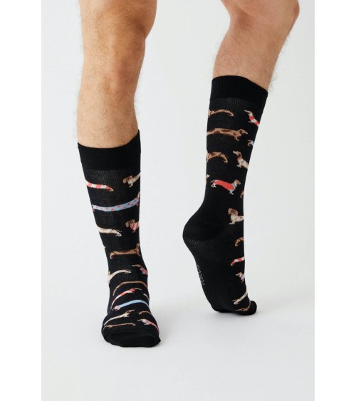 Black Socks - BePets - Dachshund Besocks funny crazy cute cool best pop socks for women men