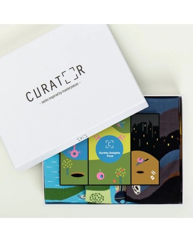 Socks - Gift box The Garden of Earthly Delights Curator Socks funny crazy cute cool best pop socks for women men