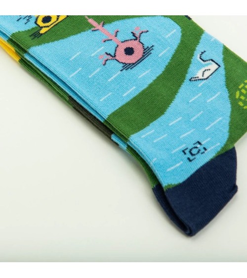 Chaussettes - Coffret cadeau Le jardin des délices Curator Socks jolies pour femme originales pour homme chausset rigolotes d...