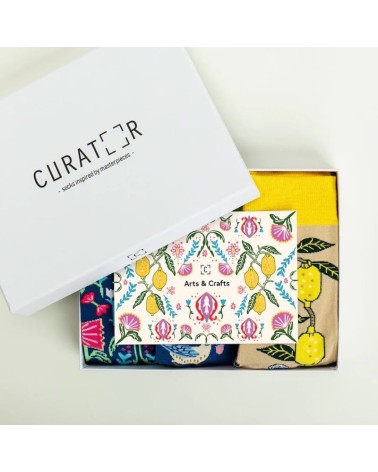 Chaussettes - Coffret cadeau Arts and Crafts Curator Socks jolies chausset pour homme femme fantaisie drole originales