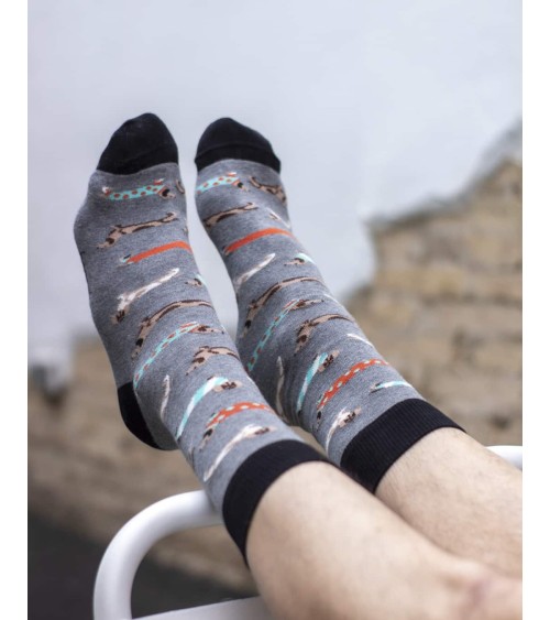 Socks - BePets - Dachshund - Grey Besocks funny crazy cute cool best pop socks for women men