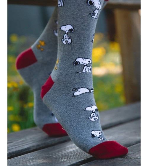 Socken - Be Snoopy - Grey Besocks Socke lustige Damen Herren farbige coole socken mit motiv kaufen