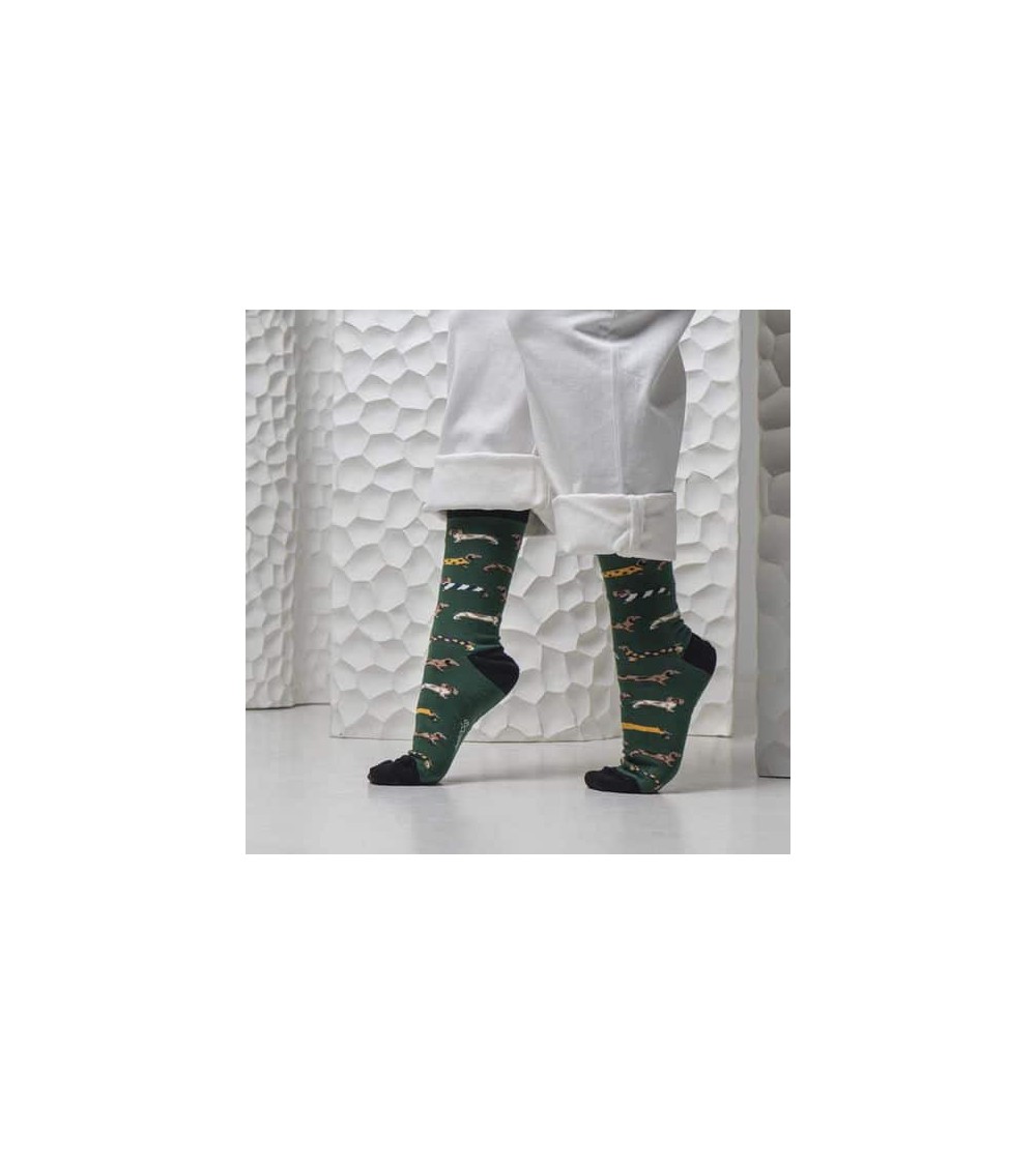 Chaussettes - BePets - Teckels - Vert Besocks jolies chausset pour homme femme fantaisie drole originales