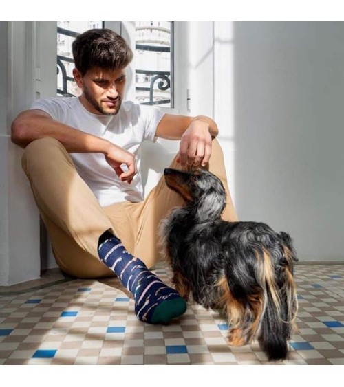 Chaussettes - BePets - Teckels - Bleu Marine Besocks jolies pour femme originales pour homme chausset rigolotes drole Suisse