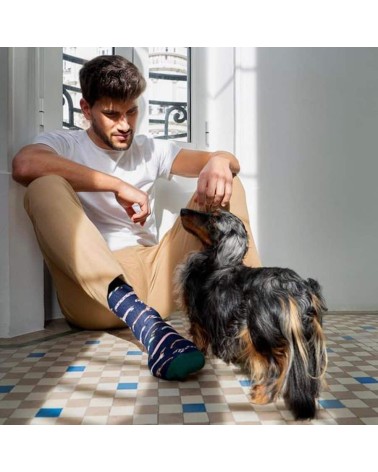 Chaussettes - BePets - Teckels - Bleu Marine Besocks jolies pour femme originales pour homme chausset rigolotes drole Suisse