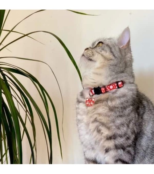 David bowie 2024 cat collar