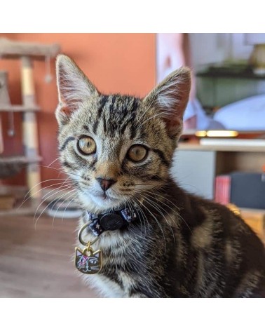 Cat Collar - Kitty Stardust Niaski original gift idea switzerland
