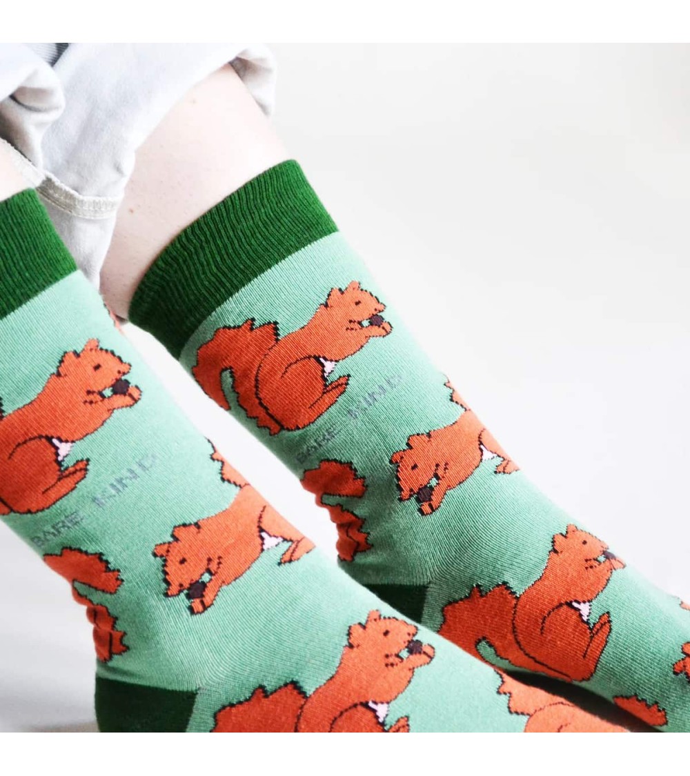 Sauvez les Écureuil roux - Chaussettes en bambou Bare Kind jolies pour femme originales pour homme chausset rigolotes drole S...