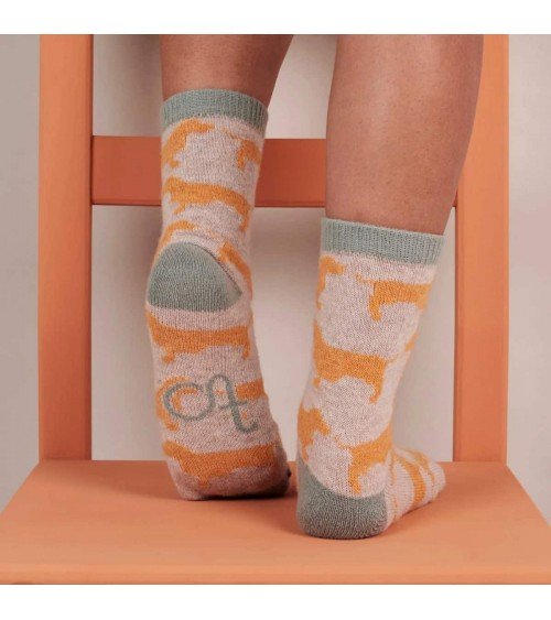 Sausage Dogs - Wool socks for women Catherine Tough funny crazy cute cool best pop socks for women men