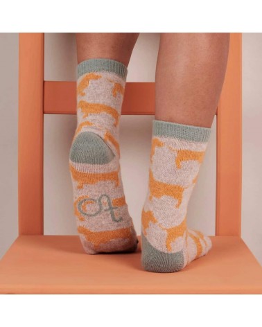 Sausage Dogs - Wool socks for women Catherine Tough funny crazy cute cool best pop socks for women men