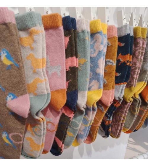 Sausage Dogs - Wool socks for women Catherine Tough funny crazy cute cool best pop socks for women men