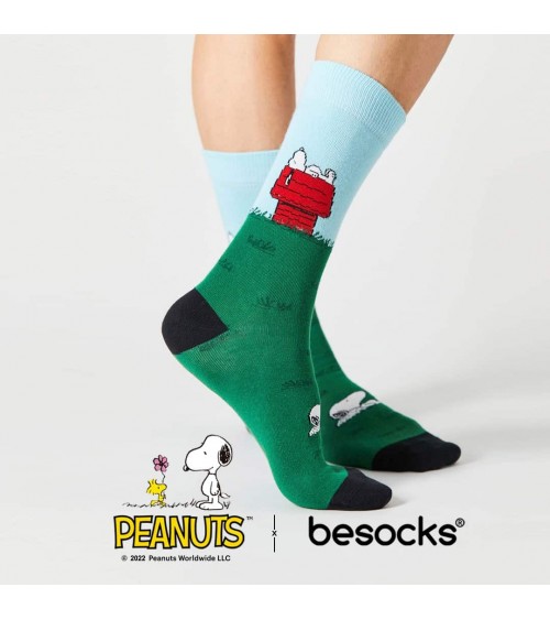 Chaussettes - Be Snoopy House Besocks jolies pour femme originales pour homme chausset rigolotes drole Suisse