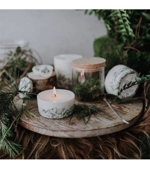 Moss - Scented Candle handmade good smelling candles shop store