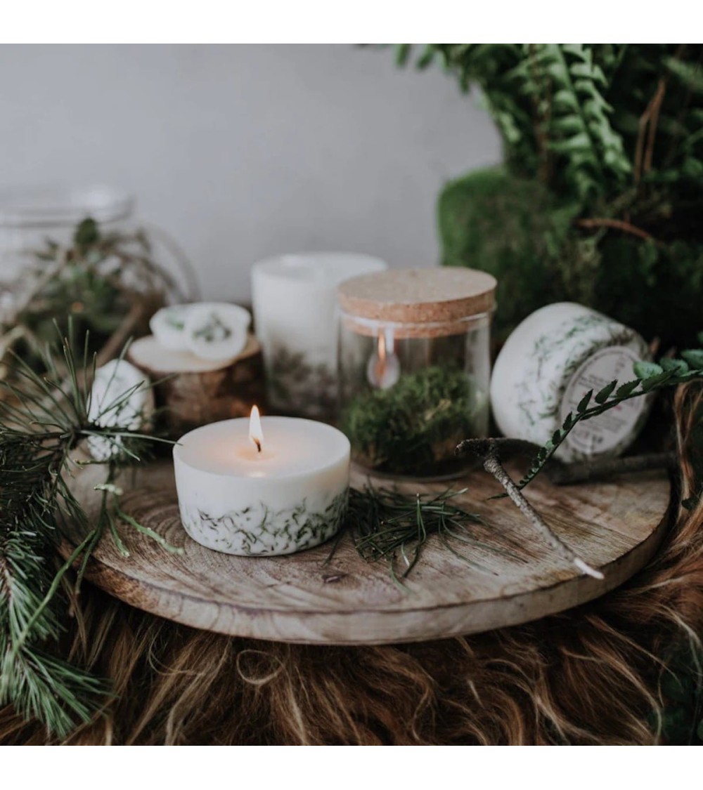 Moss - Scented Candle handmade good smelling candles shop store