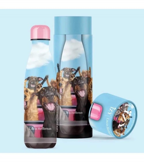 Thrill Seeker - Bouteille Isotherme 500 ml IZY Bottles gourde sport metal d eau aluminium thé design