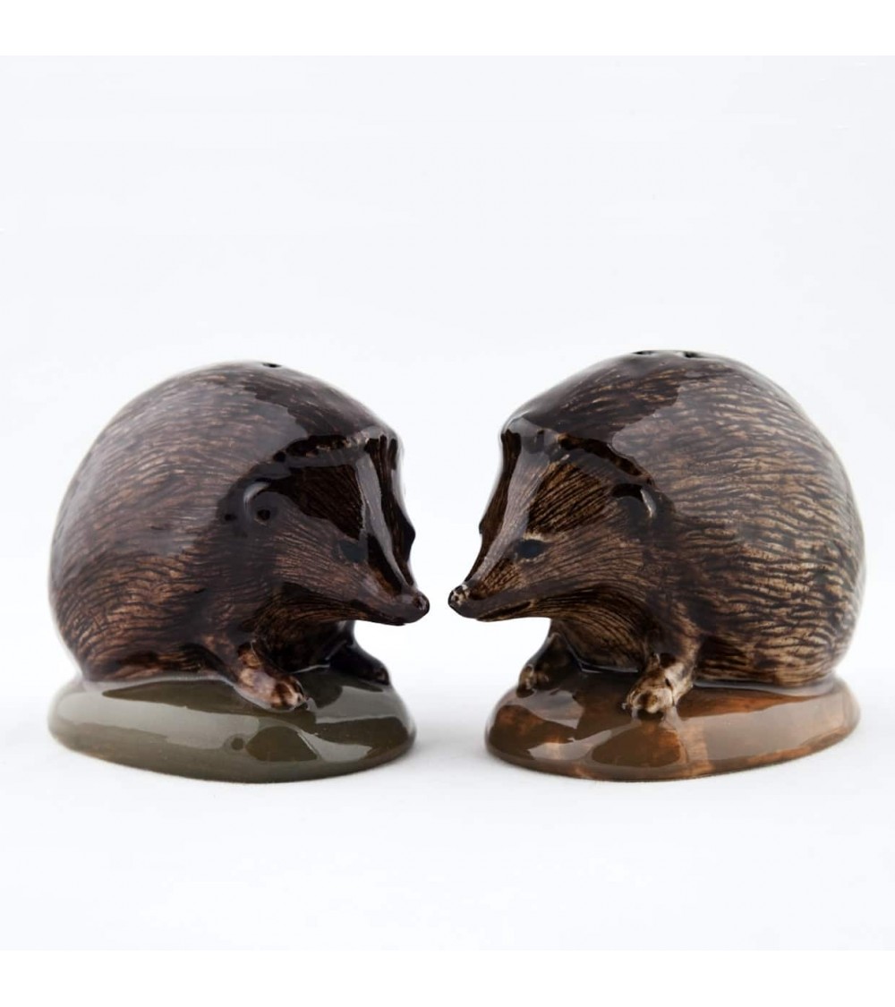 Hedgehog - Salt and pepper shaker Quail Ceramics pots set shaker cute unique cool