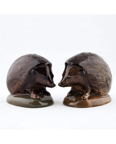 Hedgehog - Salt and pepper shaker Quail Ceramics pots set shaker cute unique cool