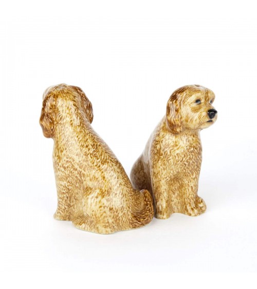 Cockapoo Apricot - Salt and pepper shaker Quail Ceramics pots set shaker cute unique cool