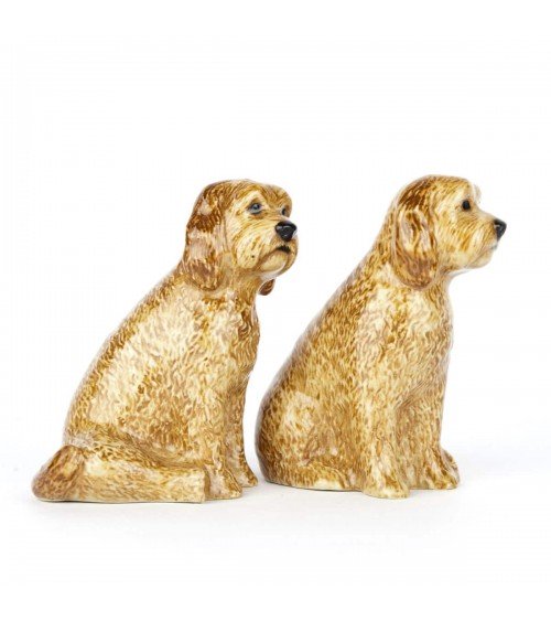 Cockapoo Apricot - Salt and pepper shaker Quail Ceramics pots set shaker cute unique cool