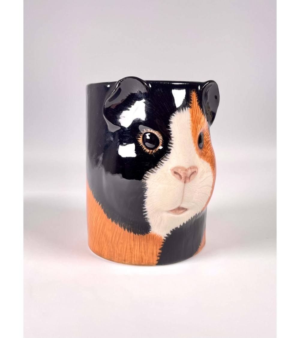 Guinea clearance pig toothbrush