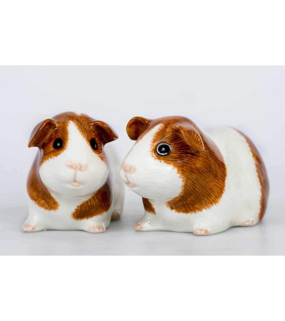 Guinea Pig - Salt and pepper shaker Quail Ceramics pots set shaker cute unique cool