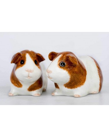 Guinea Pig - Salt and pepper shaker Quail Ceramics pots set shaker cute unique cool