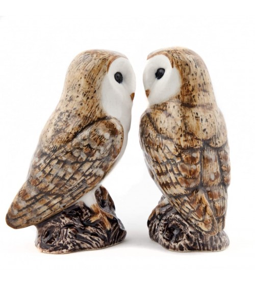 Barn Owl - Salt and pepper shaker Quail Ceramics pots set shaker cute unique cool