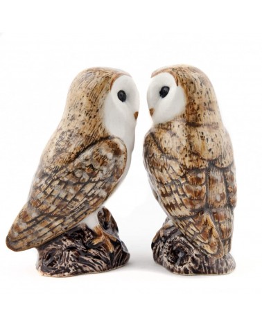 Barn Owl - Salt and pepper shaker Quail Ceramics pots set shaker cute unique cool