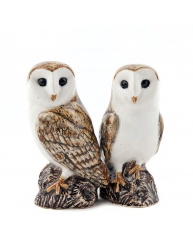 Barn Owl - Salt and pepper shaker Quail Ceramics pots set shaker cute unique cool