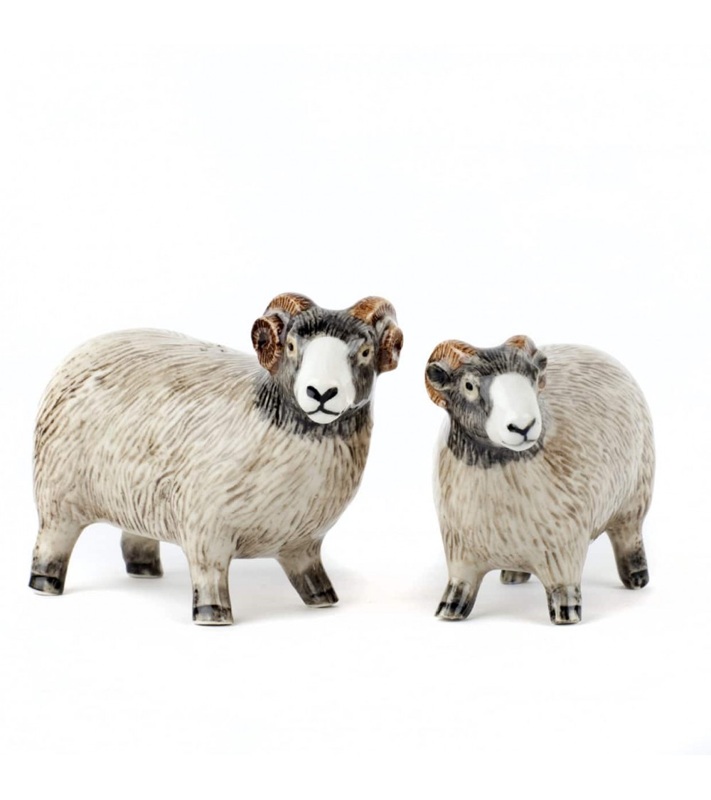 Swaledale Sheep - Salt and pepper shaker Quail Ceramics pots set shaker cute unique cool