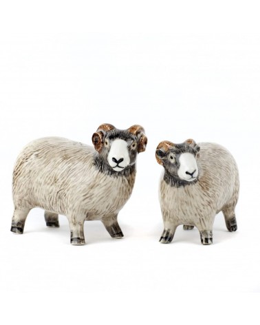Swaledale Sheep - Salt and pepper shaker Quail Ceramics pots set shaker cute unique cool
