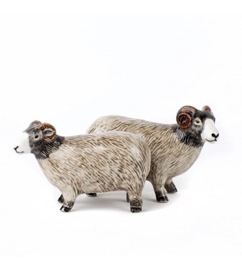 Swaledale Sheep - Salt and pepper shaker Quail Ceramics pots set shaker cute unique cool