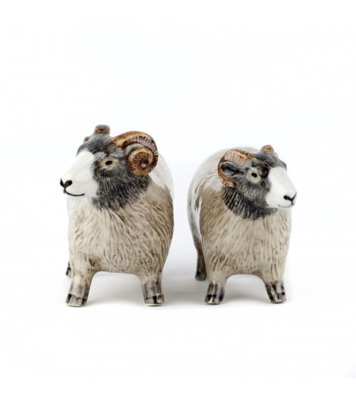 Swaledale Sheep - Salt and pepper shaker Quail Ceramics pots set shaker cute unique cool