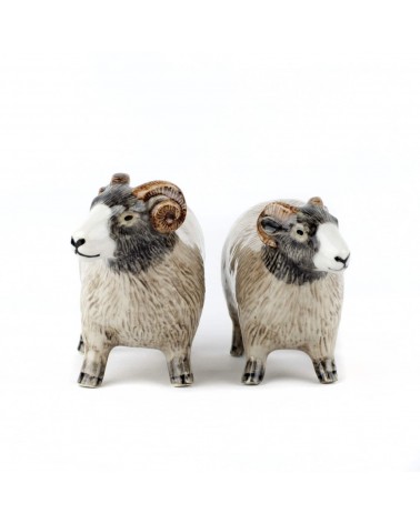 Swaledale Sheep - Salt and pepper shaker Quail Ceramics pots set shaker cute unique cool